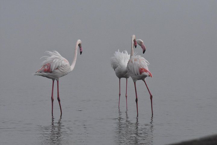 Sandwich Harbour 4x4 Excursion