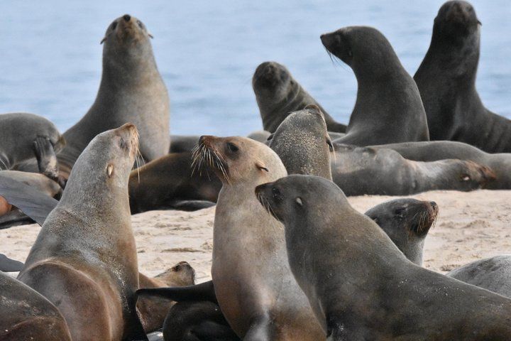 Sandwich Harbour 4x4 Excursion