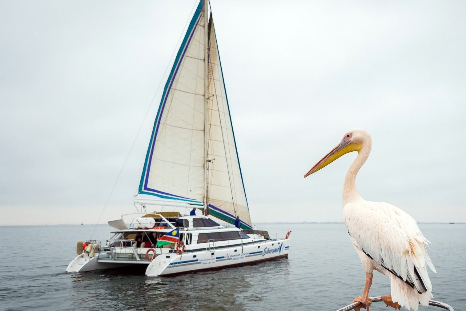 Walvis Bay Catamaran